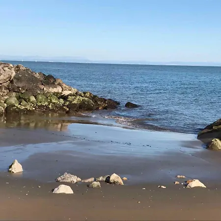 In 38281 * 比比翁